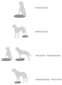 Disco de equilíbrio para animais de estimação 36 cm azul