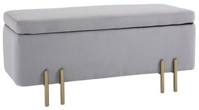 HOMCOM Banco Pé de Cama para Dormitório 70L em Veludo Pés de Metal para Entrada Sala de Estar 100x40x42 cm Cinza Claro