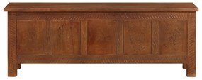 Caixa de arrumação 110x30x40 cm madeira de mangueira maciça