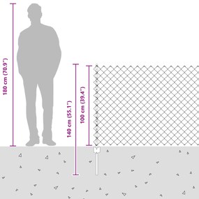 Conjunto de Cerca de Jardim 2 Peças Aço galvanizado 25 x 1 m