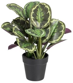 Planta Decorativa 37 X 37 X 41 cm Verde Pvc