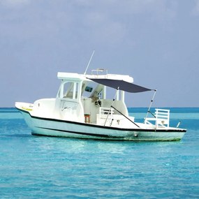 vidaXL Conjunto extensão de toldo em T 170x170x(113-182,5) cm azul