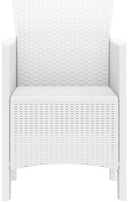 Cadeiras de Jardim 2 pcs Branco 53 x 49 x 85 cm Plástico