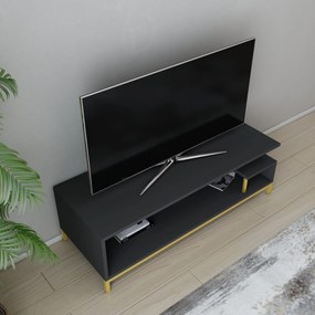 Móvel TV Reilly – Dourado e Antracite – 120 cm x 44,6 cm x 37,6 cm
