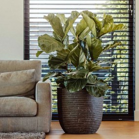 434868 Capi Vaso oval Nature Row 54x52 cm verde-azeitona