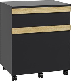 Vinsetto Gaveteiro de escritório com rodízios com 2 gavetas deslizantes organizador de pastas 48 x 40 x 59,5 cm preto | Aosom Portugal