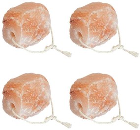 vidaXL Pedras de Sal para Lamber 4 pcs Rosa Pedras