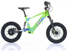 Bicicleta elétrica infantil sem pedais 500W 36V 5Ah 16” RXF Evo Verde