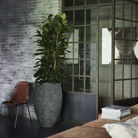 Vaso Nature Rib elegante Deluxe 45x72 cm antracite