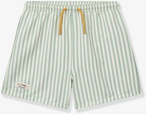 Calções de banho Duke Stripe Liewood verde