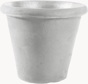 Vaso Camelia