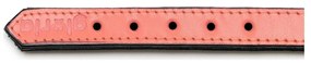 Coleira para Cães Gloria Acolchoado Coral (30 x 1,5 cm)