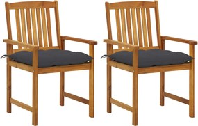 vidaXL Cadeiras de jardim com almofadões 2 pcs acácia maciça