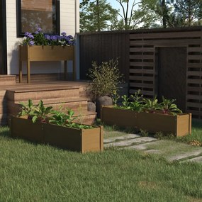 vidaXL Canteiros jardim 2 pcs 150x31x31cm pinho maciço castanho mel
