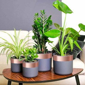 vidaXL Fita de cobre Cobre 2000 x 7 cm Cobre