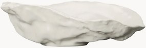 Taça decorativa Oyster