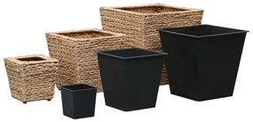 Vasos/floreiras 3 pcs jacinto de água