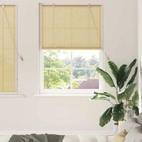 vidaXL Persianas e Sombras de Janela Natural 110 x 160 cm Bambu
