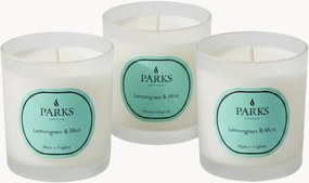 Velas perfumadas artesanais Vintage Aromatherapy (erva-príncipe, menta, citrinos), conjunto de 3