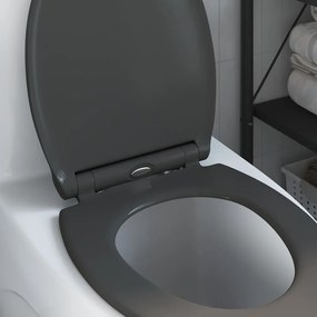 assa lança Rápida de vaso sanitário com fechamento suave Duroplast Ant