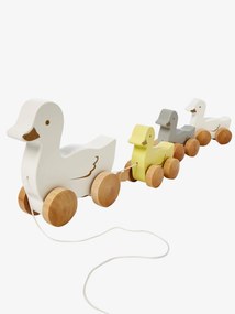 Família de patos para puxar multicolor