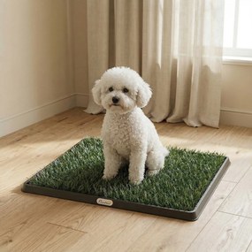 Sanitário para Cães, 63 x 50,5 x 3,5 cm, Sistema de 3 Camadas, Preto