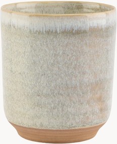 Canecas Cameo, conjunto de 4