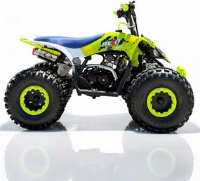 Mini moto 4 gasolina para crianças de 110 cc, REXO 4 Tempos YH110 Automática C/Marcha atrás e Limitador de velocidade Verde
