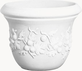 Vaso Uva Spina