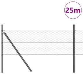 Conjunto de Cercamento Conjunto de 2 Cinza Metal 25 x 0,5 m