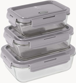 Caixas de arrumação em vidro borossilicato Taupe Collection, conjunto de 3