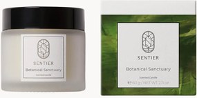 Vela perfumada Botanical Sanctuary (limão)