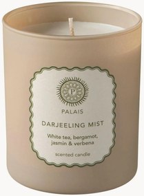 Vela perfumada Darjeeling Mist (frutos, limão, ervas) em vidro