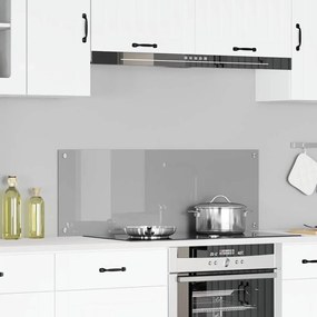 Luminária de Backsplash para Cozinha vidaXL Cinza Claro 110x40x0,6 cm em Vidro Temperado
