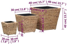 Vasos/floreiras 3 pcs jacinto de água