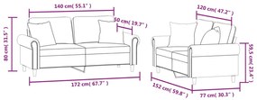 2 pcs conjunto de sofás com almofadas veludo cinzento-claro