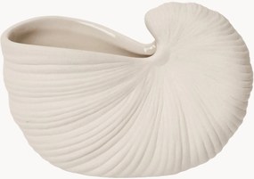 Vaso em forma de concha Shell, L 11 cm