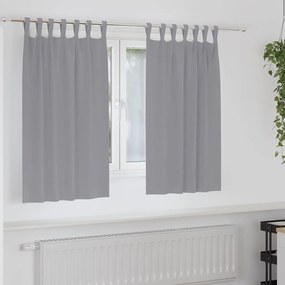 vidaXL Cortinas com cortinas 2 pcs Cinzento-claro Poliéster