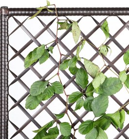 Floreira Polyrattan com treliça 146 x 83 x 30,5 cm Castanha