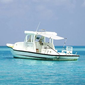 vidaXL Conjunto extensão de toldo em T 170x170x(113-182,5) cm branco
