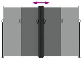 Toldo lateral retrátil 220x600 cm antracite