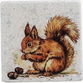 Bases para copos Squirrel, conjunto de 4