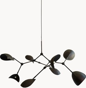 Lustre grande Stingray, vários tamanhos