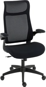 HOMCOM Cadeira de Escritório Ergonómica com Suporte Lombar e Apoios de Braços 3D Dobráveis Função de Basculante 64x65x108-118 cm Preto | Aosom Portugal