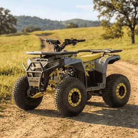 MOTO 4 Gasolina Crianças apartir 10 anos 125CC Roan Bull Automático R8 Amarela