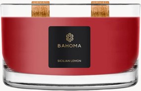 Vela perfumada com dois pavios Spirit of Christmas (cássis, cravinho, âmbar)