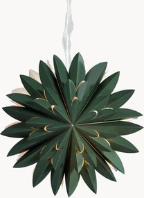 Estrela de Natal Hyacint