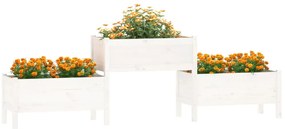 Vaso/floreira 245,5x44x75 cm pinho maciço branco