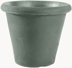 Vaso Camelia