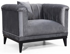 **** Cadeira Wing Trendy – Cinzento Escuro – 105x79x89 cm

**
